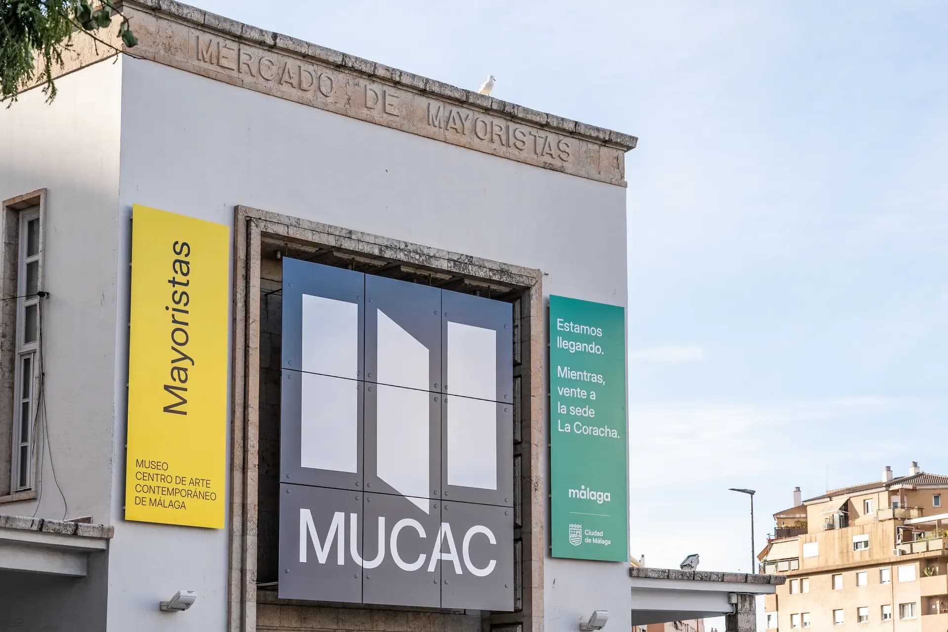 MUCAC Mayoristas