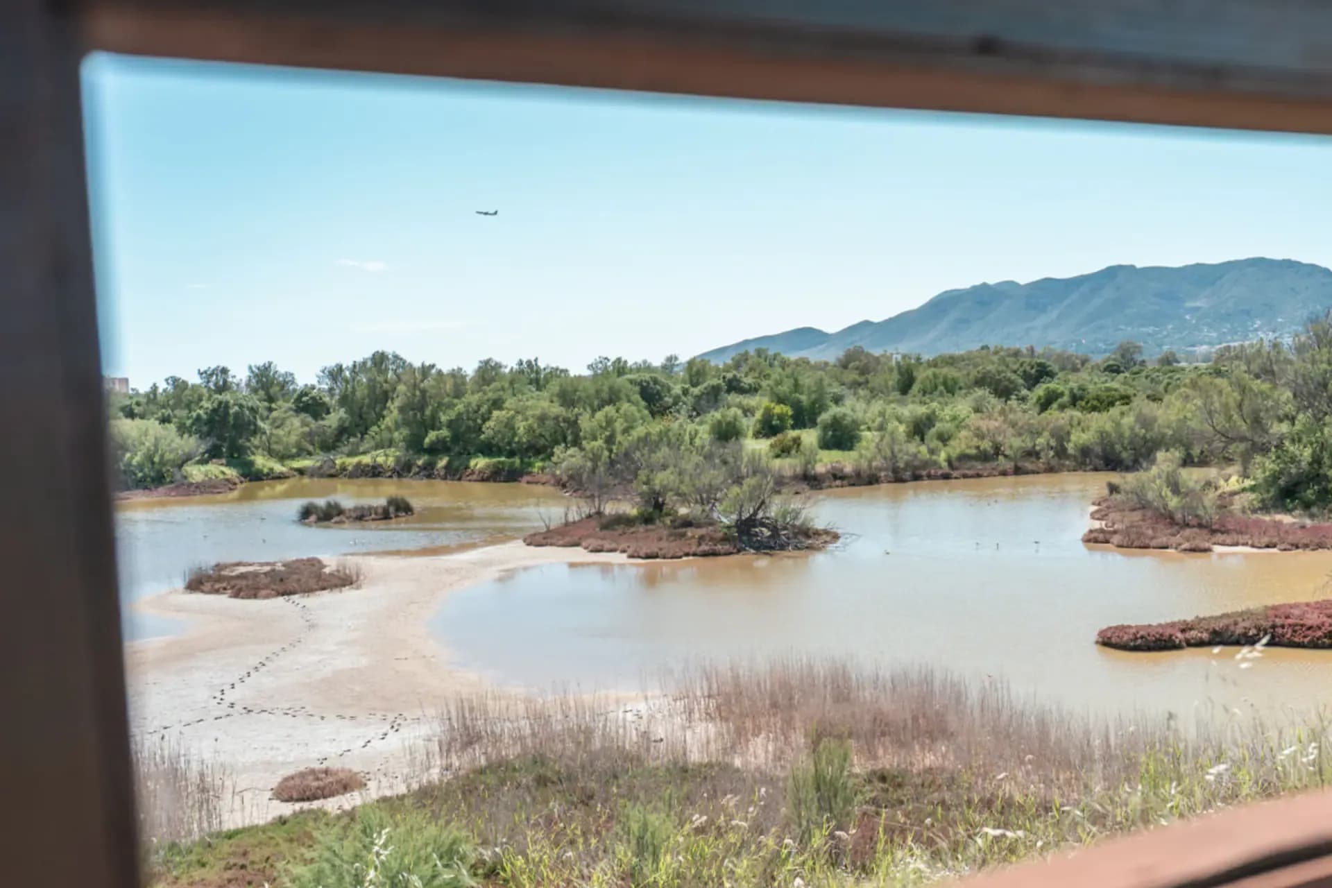Observatorio del Río Viejo