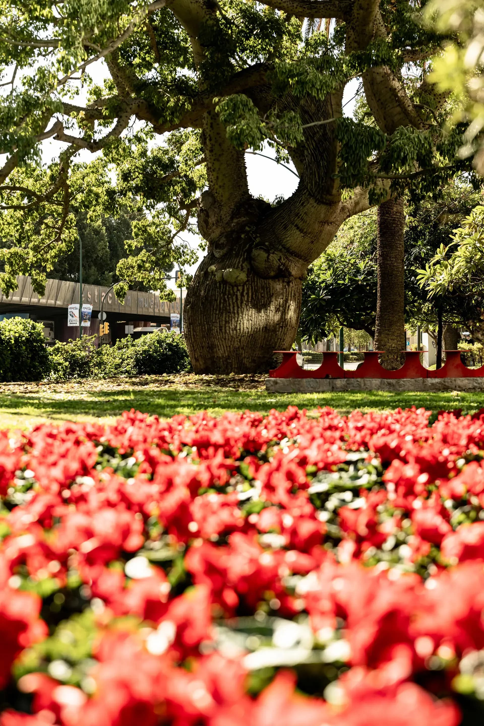 Plaza Jardín Alfonso Canales
