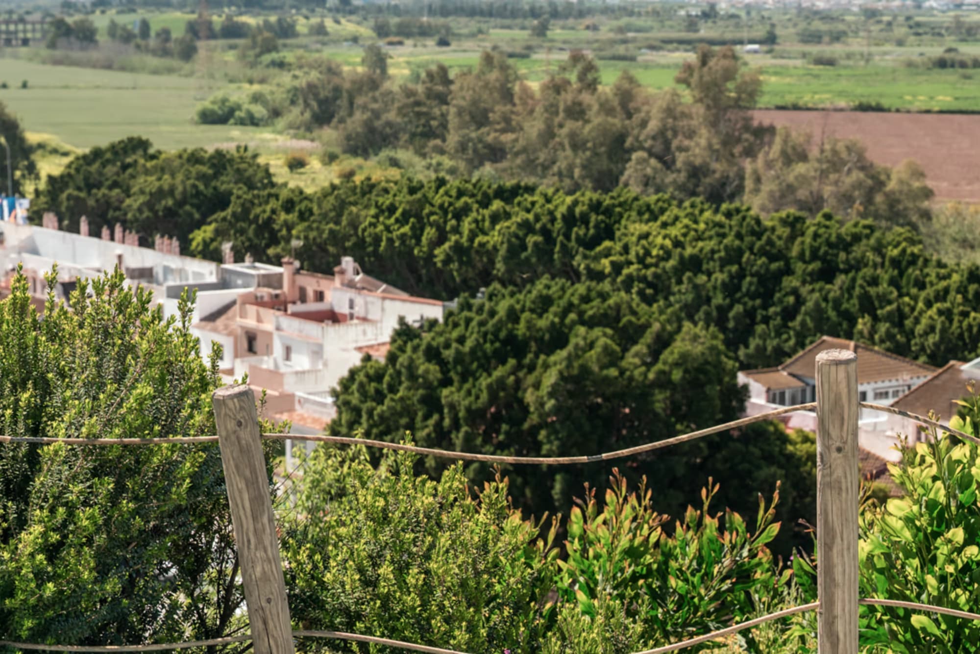 Mirador del Parque Cerro Vallejo