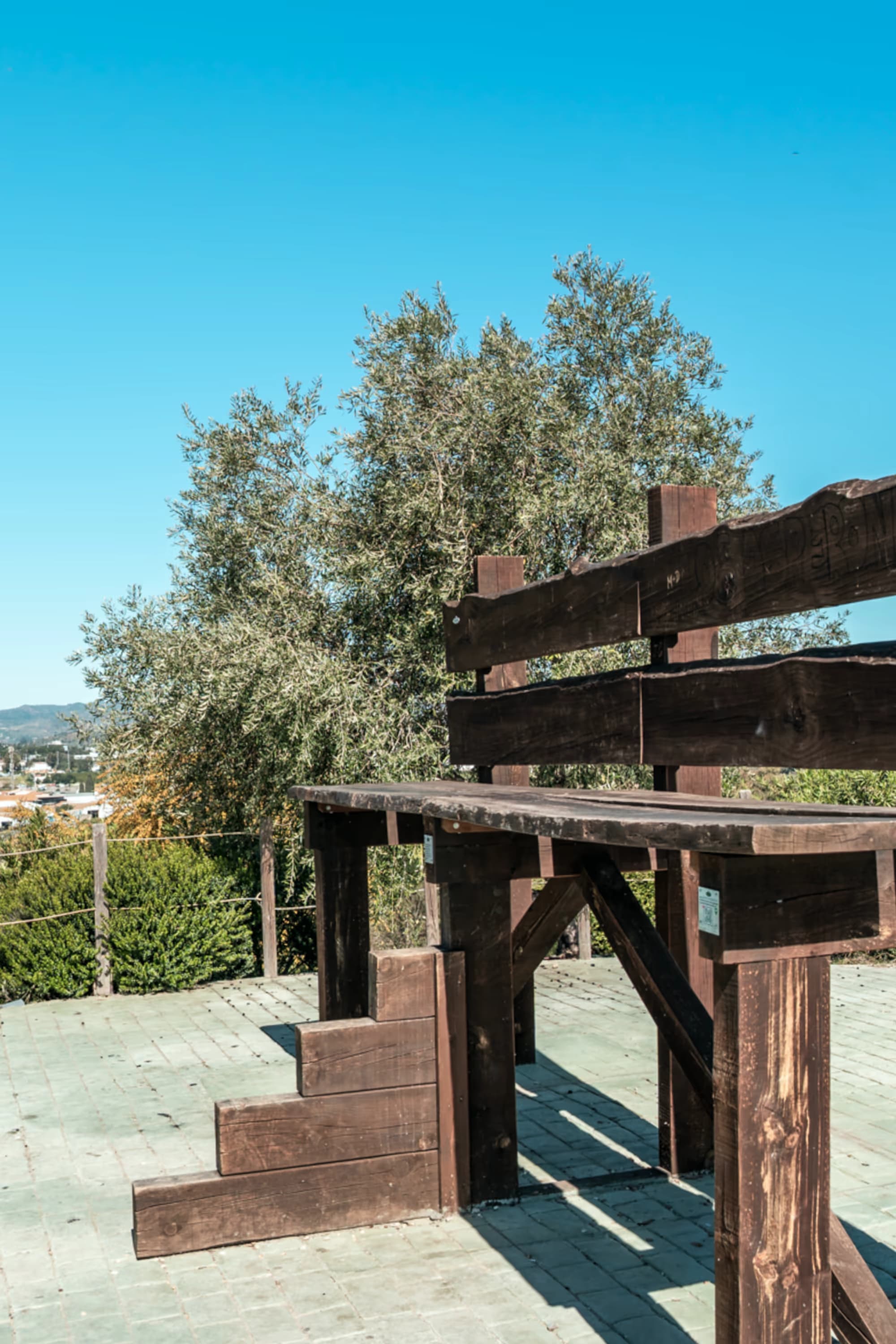 Mirador del Parque Cerro Vallejo