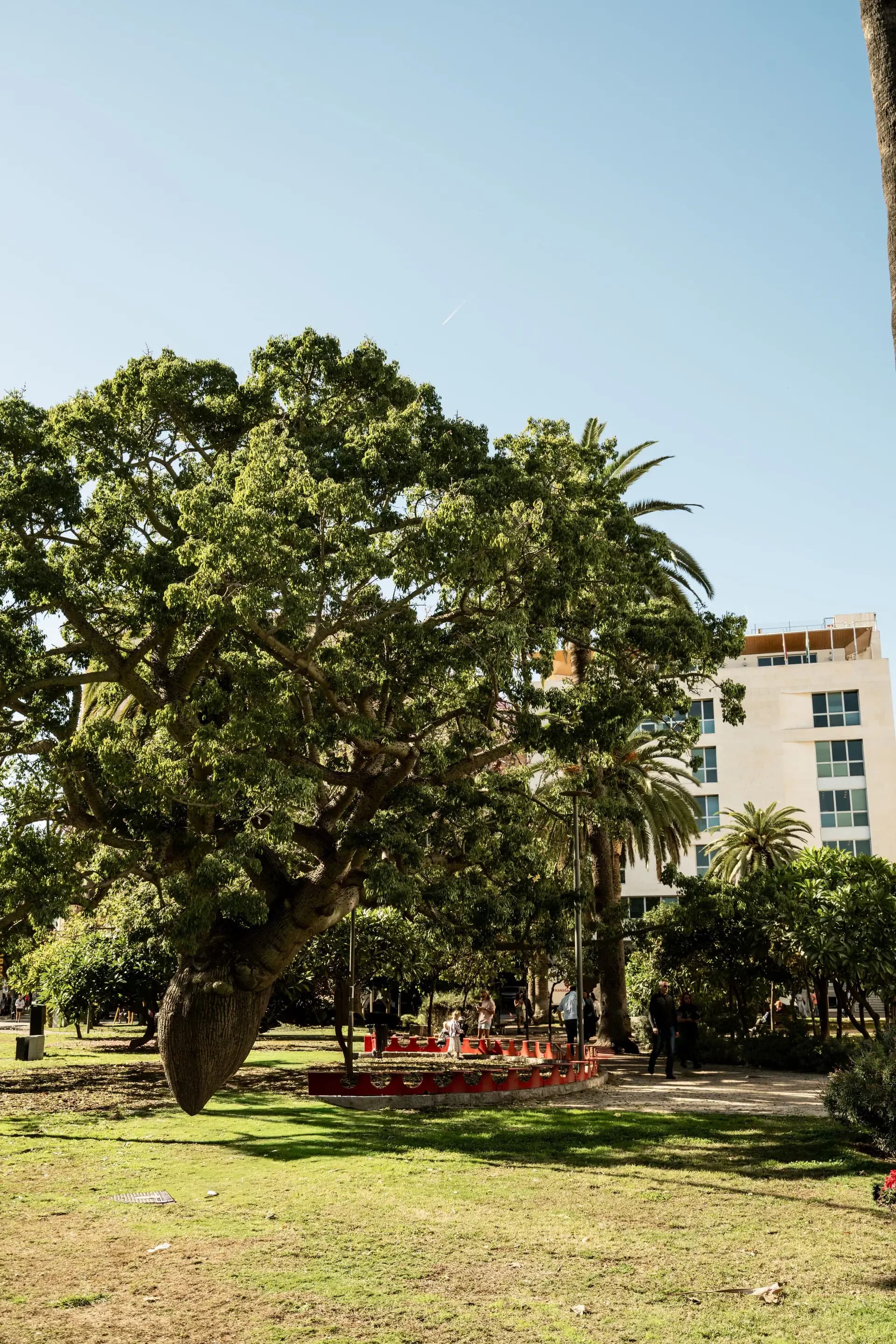 Plaza Jardín Alfonso Canales