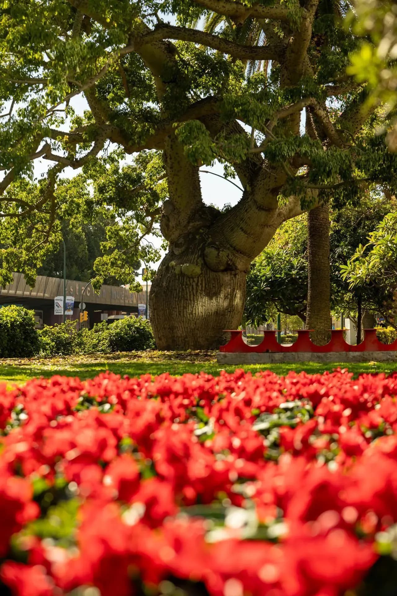 Plaza Jardín Alfonso Canales