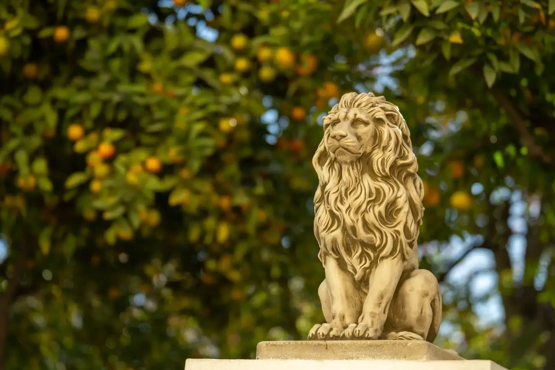 Jardines de Alfonso Canales: oasis que conecta el Soho